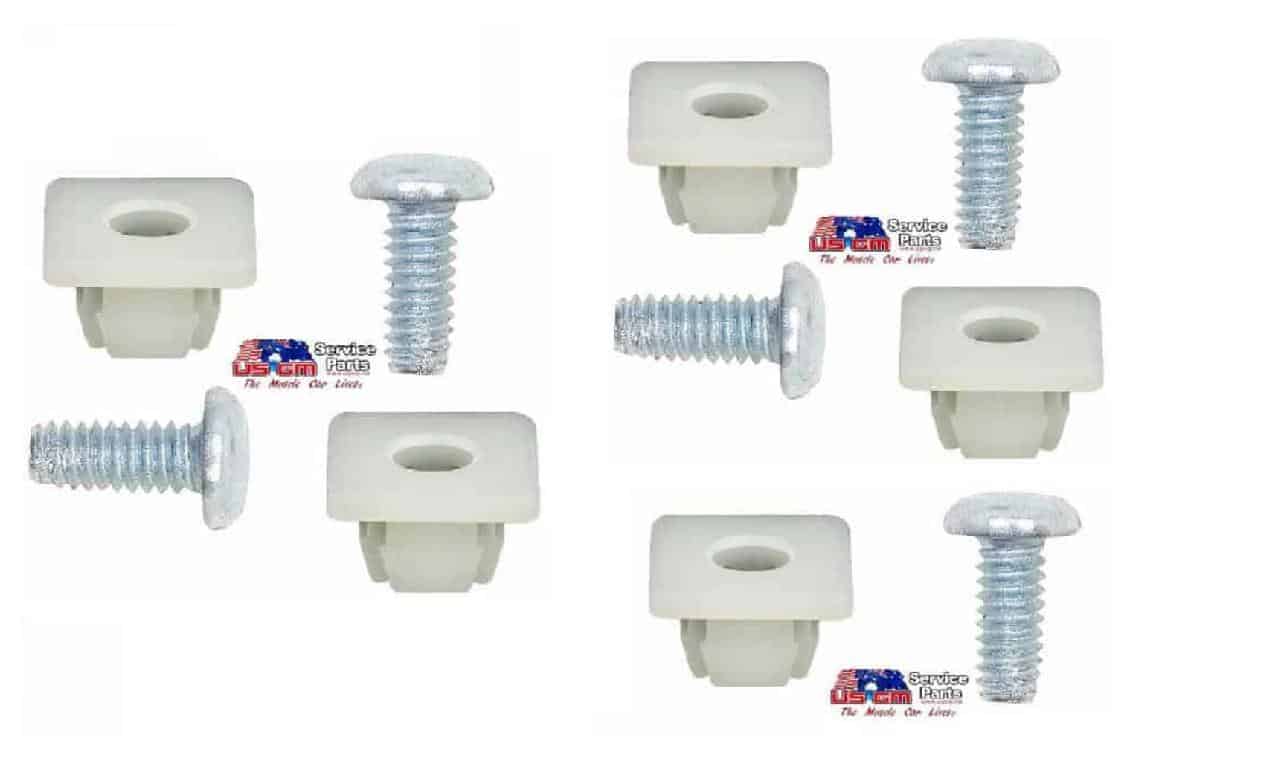 License plate Insert & Screw Set: 10 pce kit